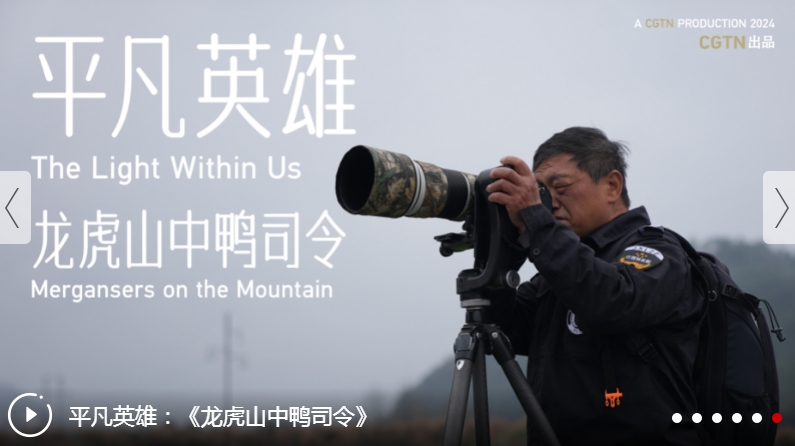 微信截圖_20240924095945.png